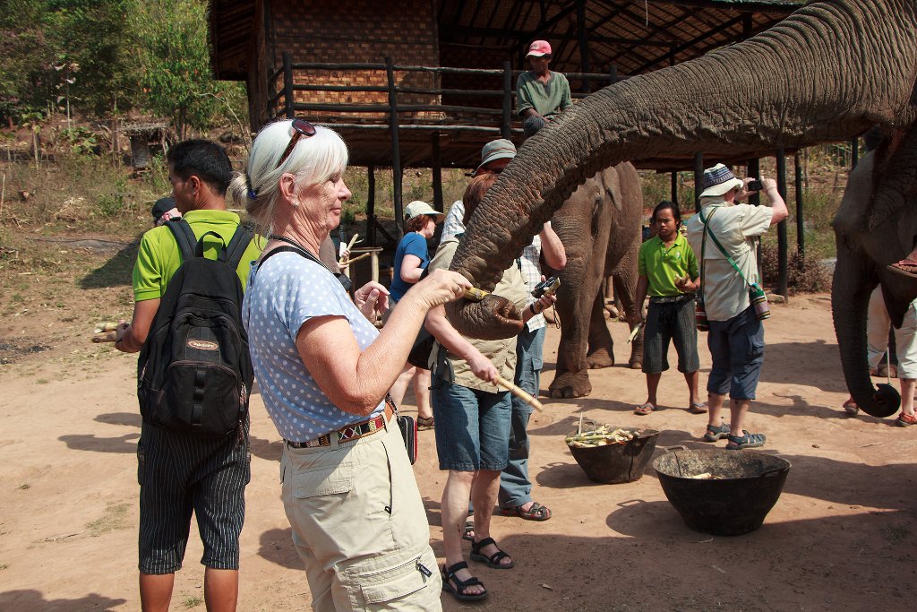 01-At Green Hill Valley Elephant Camp.jpg
